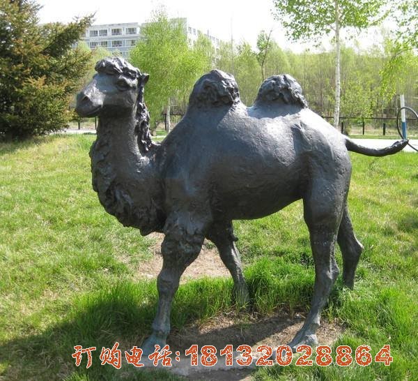 骆驼铜雕 公园动物铜雕