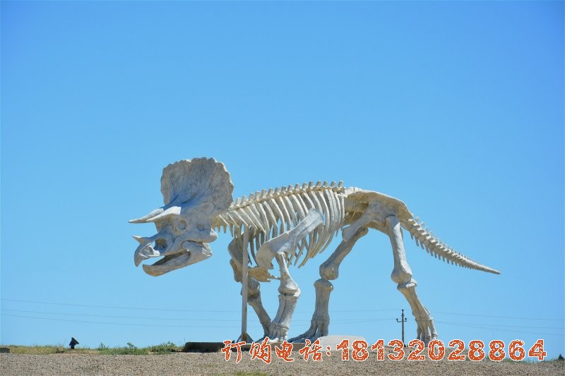 景区玻璃钢恐龙化石