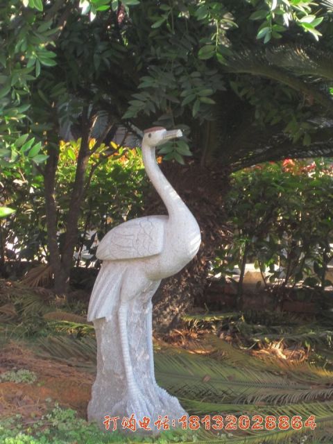 公园石雕丹顶鹤
